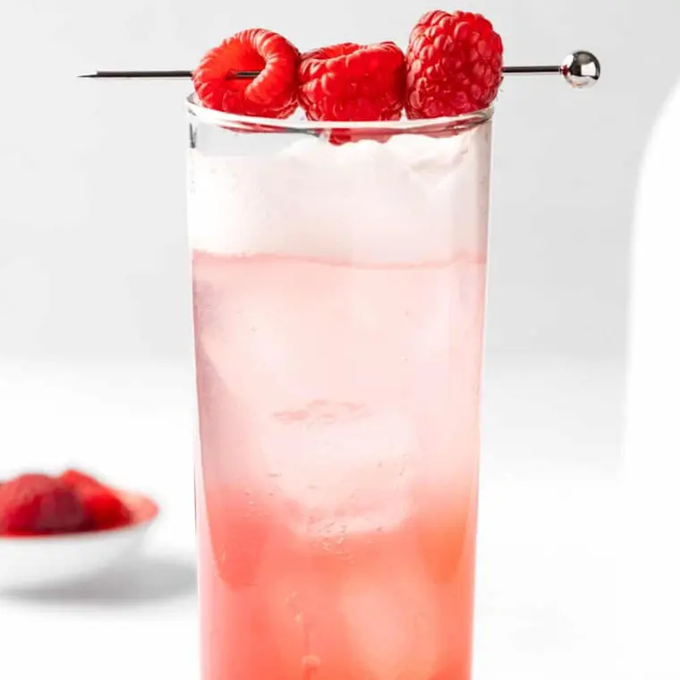 Raspberry Gin Fizz